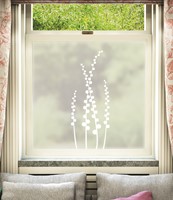 Planta Window Film Design