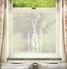 Planta Window Film Design