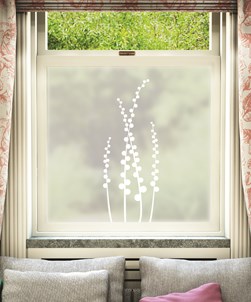 Planta Window Film Design