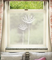 Fioritura Window Film Design