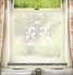 Florero Window Film Design