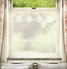 Cirklar Floral Window Film Pattern