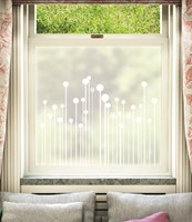 Vaxter Window Film Design
