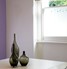 FB013 Frosted Window Film