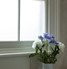 FB000 Plain Frosted Window Film