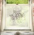 FB019 Frosted Window Film
