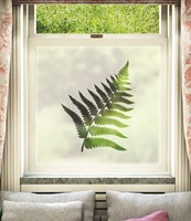 FB012 Frosted Window Film