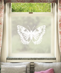 Vlinder Window Film Design