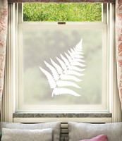 Helecho Window Film Design