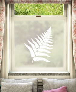 Helecho Window Film Design