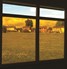 Amber 81 - The Ultimate UV Film