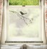 FB072 Frosted Window Film