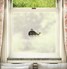 FB088 Frosted Window Film