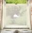 Ballena Frosted Window Film Design