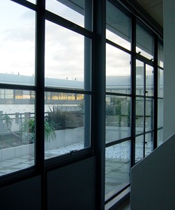 Pre-Cut 175 Micron Security Film - 500mm x 3m Roll