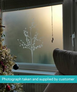 Albero Window Film Design