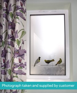 FB008 Frosted Window Film