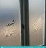 FB012 Frosted Window Film