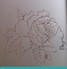 FB019 Frosted Window Film