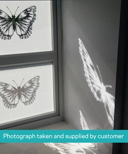 FB026 Frosted Window Film