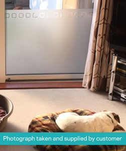 FB050 Frosted Window Film