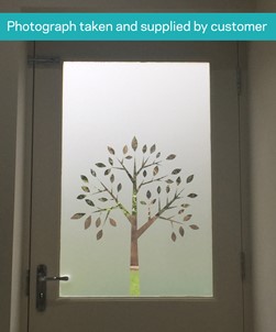 FB068 Frosted Window Film