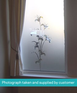 FB107 Frosted Window Film