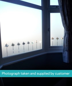 FB113 Frosted Window Film