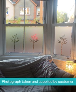 FB120 Frosted Window Film