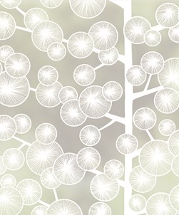 Cotton Tree 