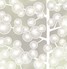 Cotton Tree 