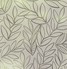 Laurus
