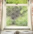 Hex
