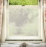 Tiotia Window Film Spiky Cactus Design
