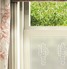 Tiotia Window Film Spiky Cactus Design