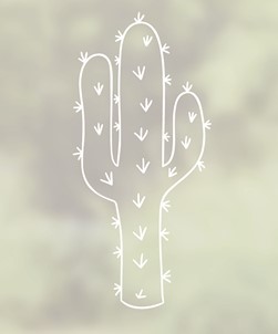Cactus Window Film Design