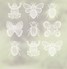 Insects