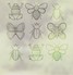 Insects