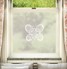 Spring Butterfly