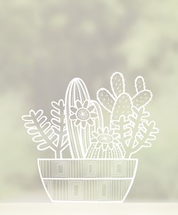 Mid Century Cacti