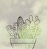 Mid Century Cacti