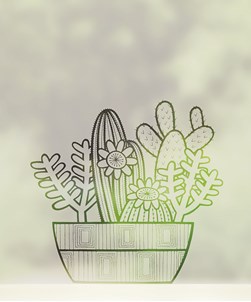 Mid Century Cacti