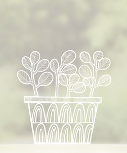 Scandi Succulents