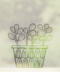 Scandi Succulents