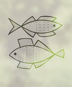 Mid Century Fish