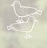 Seagulls