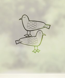 Seagulls