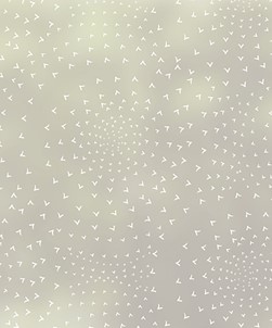 Flocking Birds