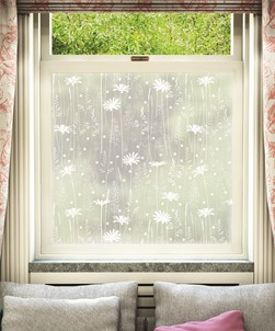 Daisy Meadow