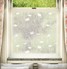 Daisy Meadow